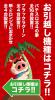urawa_hikkoshi2.jpg